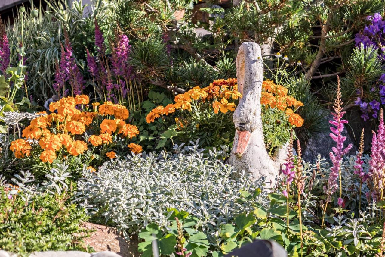 Tonigbauernhof Blumenwiese Scena Exterior foto